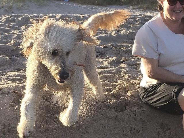 IMG 0159 - Version 2