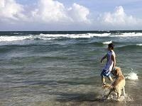 IMG 0133 - Version 2