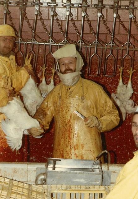 fullsizeoutput 28dd3