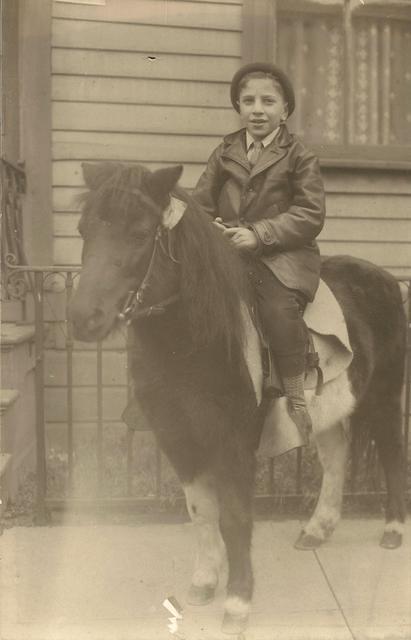 Unknown (Arnold Levine Family)