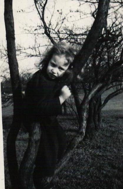 Joyce Steinlauf Corcia