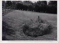 scan0193 - Version 2