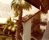 fullsizeoutput 2bb5e