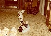 Todd Cohn playing tug of war with socks with Faygel, 7984 W 114th Terr, Quail Valley