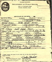 Aryeh Feit Birth Certificate